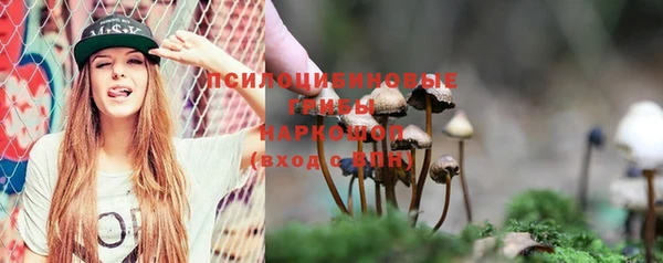 mdpv Дмитриев
