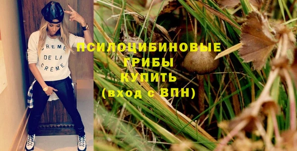 не бодяженный Осташков