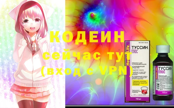 тгк Ельня