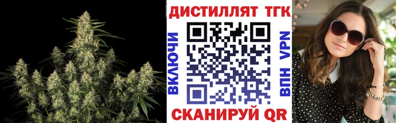 ТГК концентрат  Себеж 