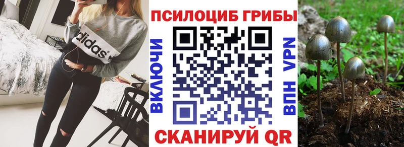 где продают наркотики  Себеж  Галлюциногенные грибы мицелий 